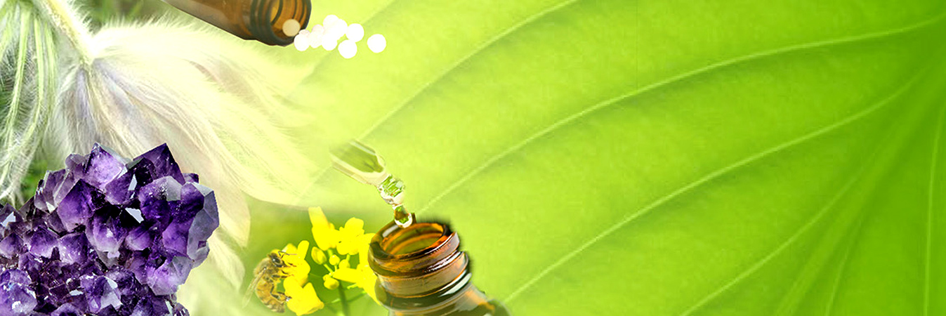 Homoeopathic Medicine Board Uttar Pradesh